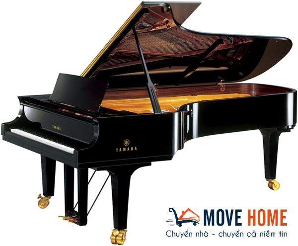 Dich vu chuyen nha van chuyen dan piano chuyen nghiep 2