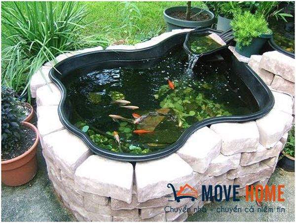 Nhà có hồ cá cảnh - Khi chuyển nhà phải làm sao 1